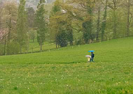 2025-05-28/99529474-61f4-4bc8-ab7e-69c01724bced