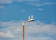 2025-05-29/22aedd55-f34c-4137-9423-3cb718ddaf7b