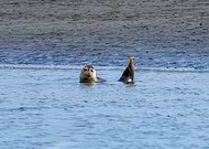 2025-06-01/3e6b6868-67e5-47d4-a365-4282ecb86c37