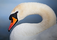 2025-06-02/dcdca73f-17f6-44a7-b1da-879f4714da5f