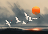 2025-06-05/916167ec-9971-44ee-a0ff-1c18787db6d8