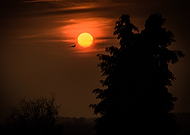 2025-06-06/36e07167-e4a4-407b-bdc1-88ed2f3ad35a