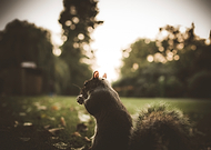 2025-06-06/c49f29c4-6de8-4719-b933-915d5aa73bc7