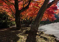 2025-06-07/fcaedd30-163f-428e-92cd-03f2964509df