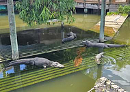 2025-06-13/eb16566f-fd37-4e2c-8f07-40b8613f3ef9