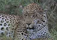 2025-06-16/c5d388e4-172b-4376-aa53-569429d9012a