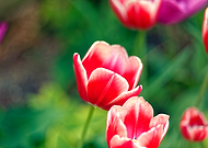 2025-06-18/fa782139-0df6-49bb-aa76-b21990053727