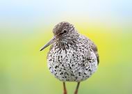 2025-06-19/472d5308-c3e3-45a2-86a8-579927ae3563