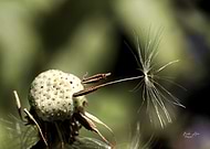 2025-06-19/7f4855dd-3363-42fa-ac4a-b8c7cff4a825