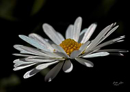 2025-06-19/a731e9a0-82ba-4586-8821-e56c79083f96