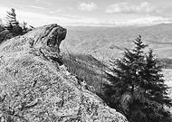 2025-06-19/ab78f4ef-69d5-45f9-992f-b1065a3567eb