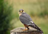 2025-06-23/3b3bffc1-3c5e-4baa-afc3-61e4fc806785