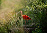 2025-06-26/693039b9-d056-4163-8aa0-6807be3bcfd1