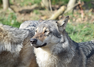 2025-06-26/7a281fc3-8d6f-4925-9b0b-0ae797230dd7