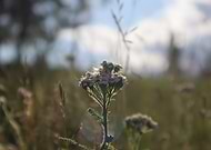 2025-06-29/5b1a150a-10c2-4183-b120-dcbb0c9b1269