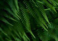 2025-06-30/25adb6b8-862f-4dd6-9142-a0406ed9ec16