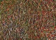 2025-06-30/5dab3630-9a4b-42d1-a17b-a0d3af27a3f5