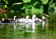 2025-07-01/227feb3c-35d3-4480-b62c-caebf55d0c6f