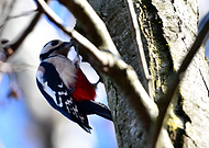 2025-07-01/bbd61c29-057e-4e36-8838-3143e65b1863