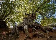 2025-07-05/60242814-b9f5-49f0-8132-3ced919af80c