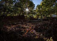 2025-07-05/78326527-1265-4e8f-90da-f98b46787428