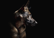 2025-07-05/d8b5e3a8-33e4-41b7-bac7-92532a53c919