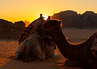 2025-07-06/5dbfa522-dd2f-4695-8cb7-7b0194138f8e