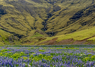 2025-07-07/a2888ecf-a020-4eb7-aabd-30ca109d402b