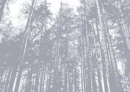 2025-07-08/13f891e2-f383-4eb6-8c9b-c1e005321b35