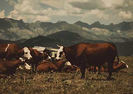 2025-07-10/a15a23e2-735a-4c64-a855-ec2b929022c3