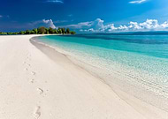 2025-07-11/ce0982ed-ebdb-494f-ba81-ad58025d07f6