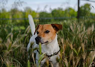 2025-07-12/759d763a-3cf4-4408-bfa8-10cc35858975