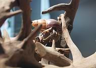 2025-07-13/8234cbfd-5fa1-492c-acd0-8130c885aabb