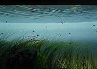 2025-07-13/e7e434bf-5f0c-4fd2-9632-261adef82958