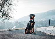 2025-07-13/ef423455-d546-4f73-b5eb-e7a59c4e67c5