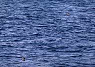 2025-07-16/2345b941-7a2d-4305-a164-76294962dcc2