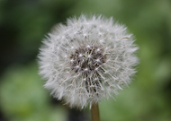 2025-07-19/45acb5d8-940a-471f-ac52-f6bd78882a69