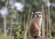 2025-07-19/cbb470bc-e188-4068-aa0a-4dac1ae15c37