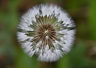 2025-07-20/4cefa3c2-e49e-40b0-a7e8-d85d3fcd1758