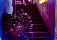 2025-07-22/184c170d-447d-4ade-b5af-6733ea5e0709