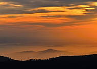 2025-07-23/3fdf346b-ff3e-4222-a225-1beef02b9216