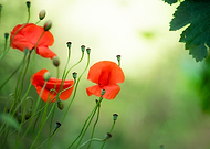 2025-07-23/49cb3486-9a88-4849-8dd8-7b3c22e2c633