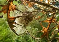 2025-07-24/773c7d6c-18b5-4972-9b20-d36812e7e049