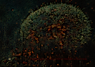 2025-07-24/798ffbf4-e173-4e87-9d88-486cac094860