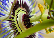 2025-07-24/b3e63b70-ea5f-44be-89ff-eacf539172bf