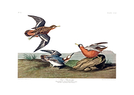 2025-07-25/659a18a3-b108-4e3f-98cf-dfe89e1d9362