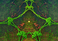 2025-07-25/b3b83caa-286d-44d6-af42-c4c0a9b9d3c7