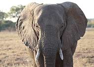 2025-07-28/ab732bdc-17ba-4c4a-95dc-6e3923372129