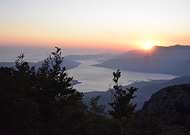 2025-07-29/41cf488a-6e2a-4dfc-b931-8cf6c820b83c