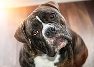 2025-07-29/d9c20307-ed21-4ee9-9608-5ec20a77fd6e